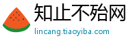 知止不殆网